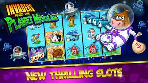 55 bet casino